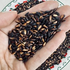 영원농산 국산 진도 특품 찰흑미 검정쌀, 1kg, 1개