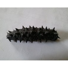 전복마을 말린해삼(건해삼)50g, 1개