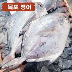 목포 맛있는 국산 병어 당일조업 산지직송, 1개, 1kg(5~7미/크기혼합), 횟감용
