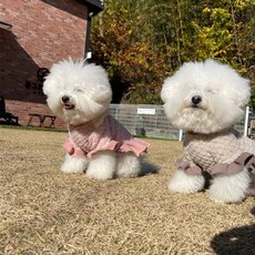 기타 강아지 부클 스타일 뽀글이 원피스 1P 겨울 치_WFG8S41, 인디핑크 L