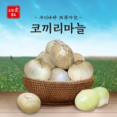 코끼리마늘-추천-상품