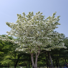 ab964cffbcad4b286a4cd15f381c85fe4f0ec5581e1209191aab1cc64b9e.png