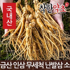 착한약초 금산 인삼 50종 수삼 삼계용 인삼주키트 선물세트, 1개, 1I8U_금산 인삼 무세척 난발삼 소 750g