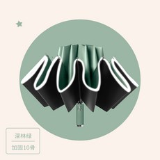 래쉬숲