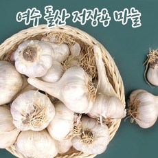 여수 햇마늘 저장용 마늘 상 한접 100개 저장마늘