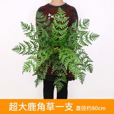 d2ae4d22977a852480532ccc92d6aeedebfb7a2b974bfd477ccefc959add.jpg