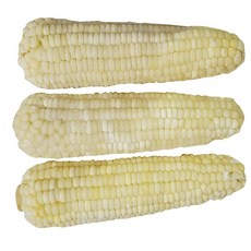 f87d6d9c871d757a1a860338d0eea061995509d0712b4b05196ad7156299.jpg