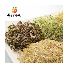 건강가득 프리미엄 새싹모듬 500g 10개입, ONE COLOR, ONE SIZE