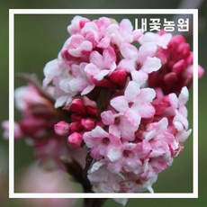 7d6675dc484873f09d2a836b233d11f0c50b677185b59efb3f8ecc29cbe5.jpg