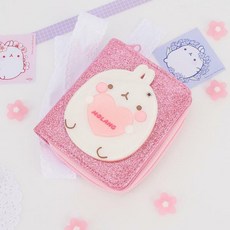 몰랑이거울지갑