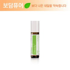 구정스테디