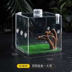 거미 아크릴 상자 사마귀 녹색 용품 LED 먹이 애완 사육장 육지거북이사육장 곤충, 1개