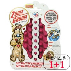 이누스바스잉글리쉬