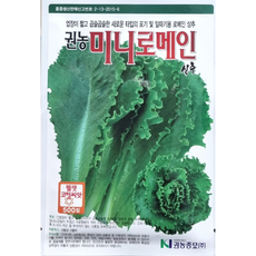 미니컵로메인