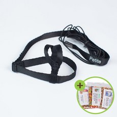 모란앵무하네스