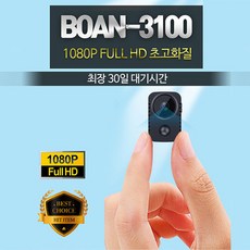 boan-3100