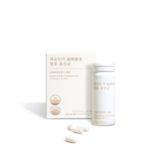 복순도가 발효 유산균