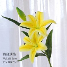 필름카메라현상기