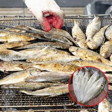 집나간 며느리도 돌아오는 고소한 가을 전어 필레 구이 세꼬시, 1개, 500g(4~6미)
