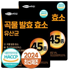 자연속 하루 효소 곡물 발효 효소 유산균 45종