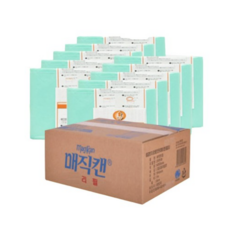 라이펀매직캔히포크롬21l