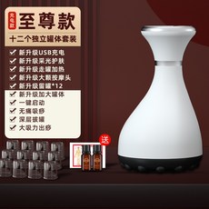 무선 전동 경락 솔질함 과사 계기 소통 흡입마사지기 부황 전신 통용 슬리밍, 지존 타입 부압계 부압계 （충전식 ）