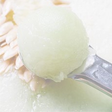 아이스크림스푼 수박 아이스크림스쿱 원형 뜨개 화채스푼 화채스쿱 과일스쿱, 스테인레스, 1개