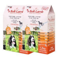 더독하이포알러지