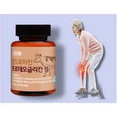 관절엔 콘드로이친 1200 프로테오글리칸정 600mg x 60정, 1개