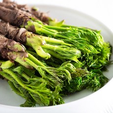 자연산 참두릅 땅두릅, 8개, 120g