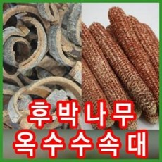 후박나무