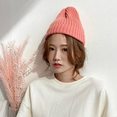 아미비니
