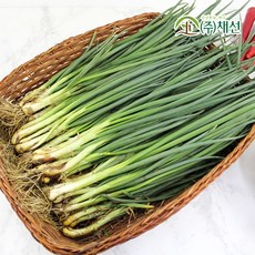 쪽파 부드럽고 몸을 따뜻하게해주는 흙잔파 1단, 1개