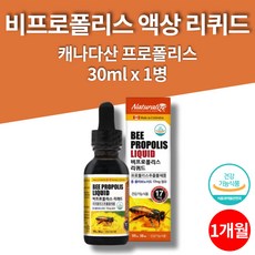 록피드프로폴리스