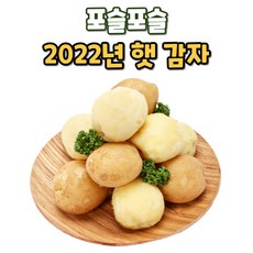 2022년 지금 수확중인 햇 감자, 감자 5kg (특/왕특 혼합)