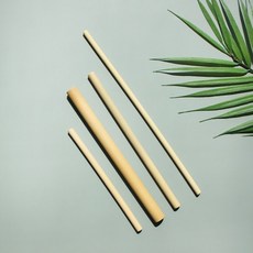 [1+1] 스트로우 빨대 천연 밤부 대나무빨대 버블티, 2개, 25cm