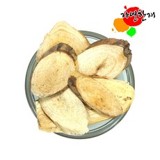 소나무뿌리