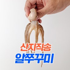 추천7쭈꾸미시세