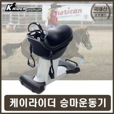 말운동기구 승마머신 실내운동기 복부하체 비만운동, 퍼플, 퍼플