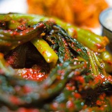 현진푸드갓김치