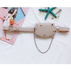 디올새들벨트백