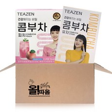 티젠콤부차피치