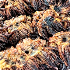 구운숏다리 1KG 건어물 오징어안주, 1개