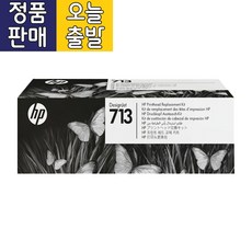 hp디자인젯t250