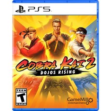 코브라 카이 2 도장 라이징 PS5 전투 캐릭터, PlayStation 5