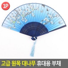 담양부채