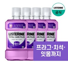 리스테린 토탈케어 플러스 구강청결제, 250ml, 4개