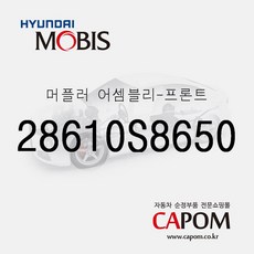 팰리세이드머플러