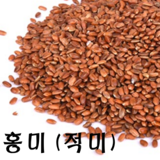 57d58fe89c9118e75406db1a1eed96aa146a2cfa944ec7004e953094e204.png