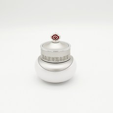 공진향설미백진고스팟